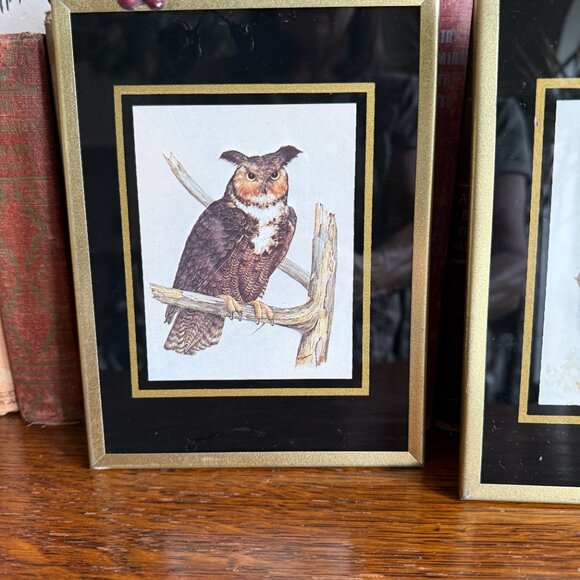 1971 Reverse paint Owl pictures - Picture 7 of 14